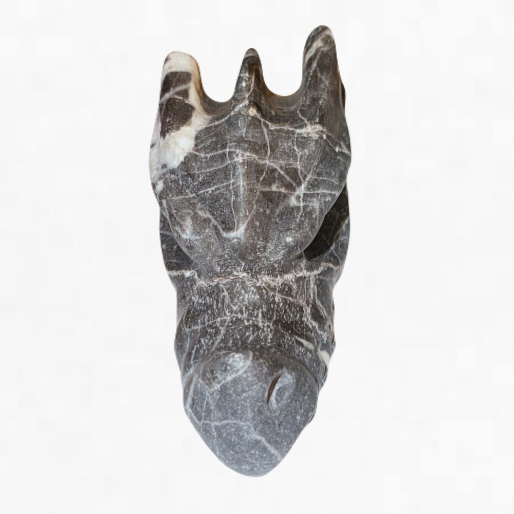 New Gastropoda Shell Fossil Gray White Carved Dragons Head Rock Healing Statue